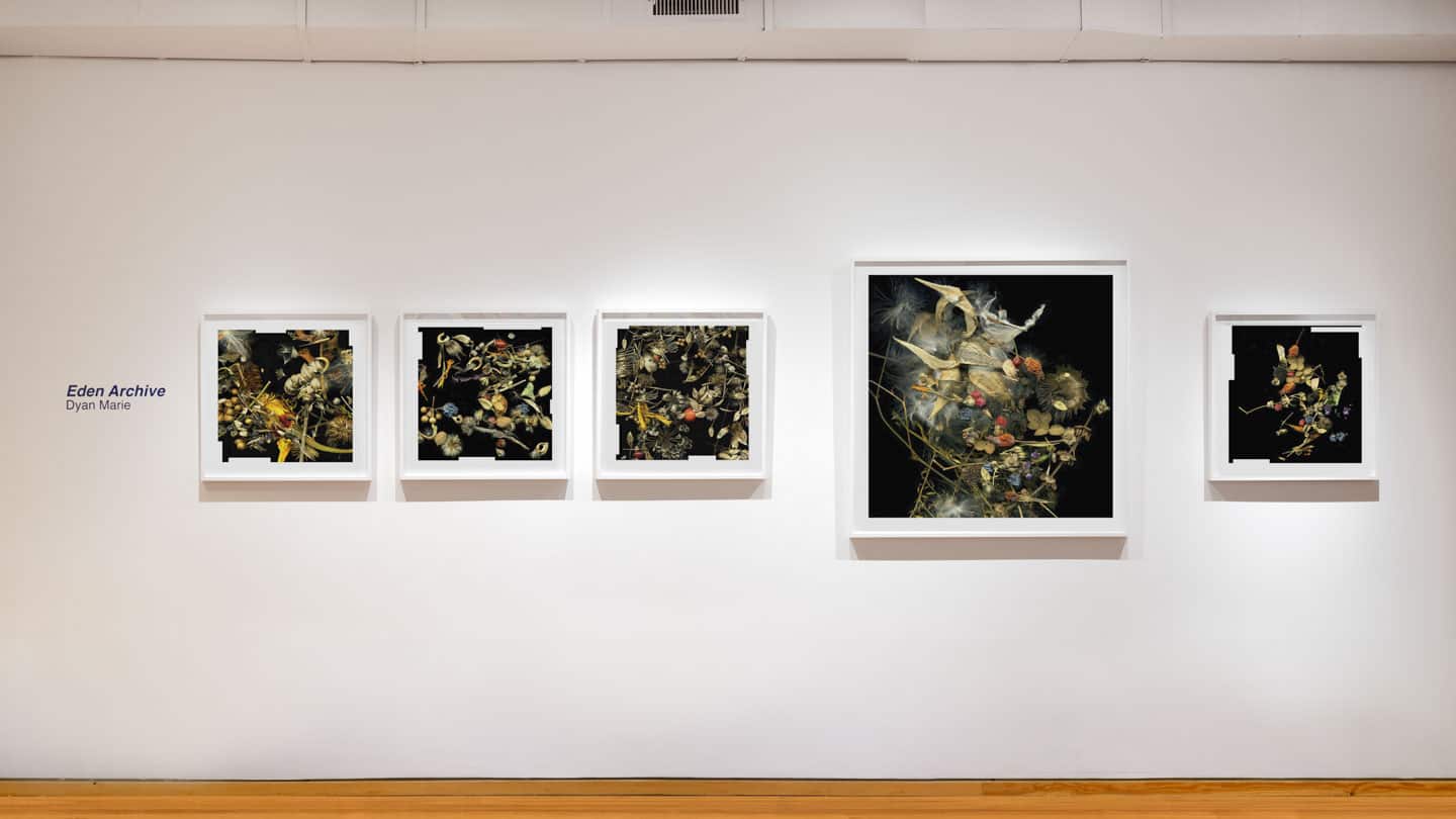 2018-05-12 Angell Gallery - Let There Be Light